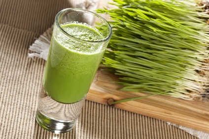 Hierba de Trigo (Wheat grass), Buena Nutrición y Otros Beneficios